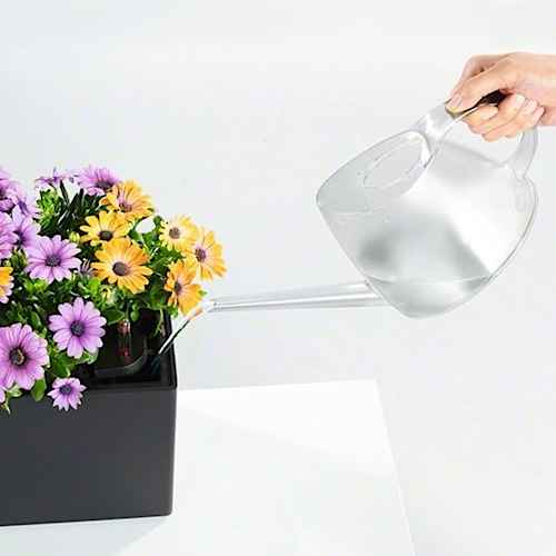 Filling Water in the BALCONERA Color Planter Box